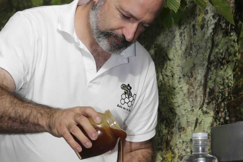 Jesús Noriega
